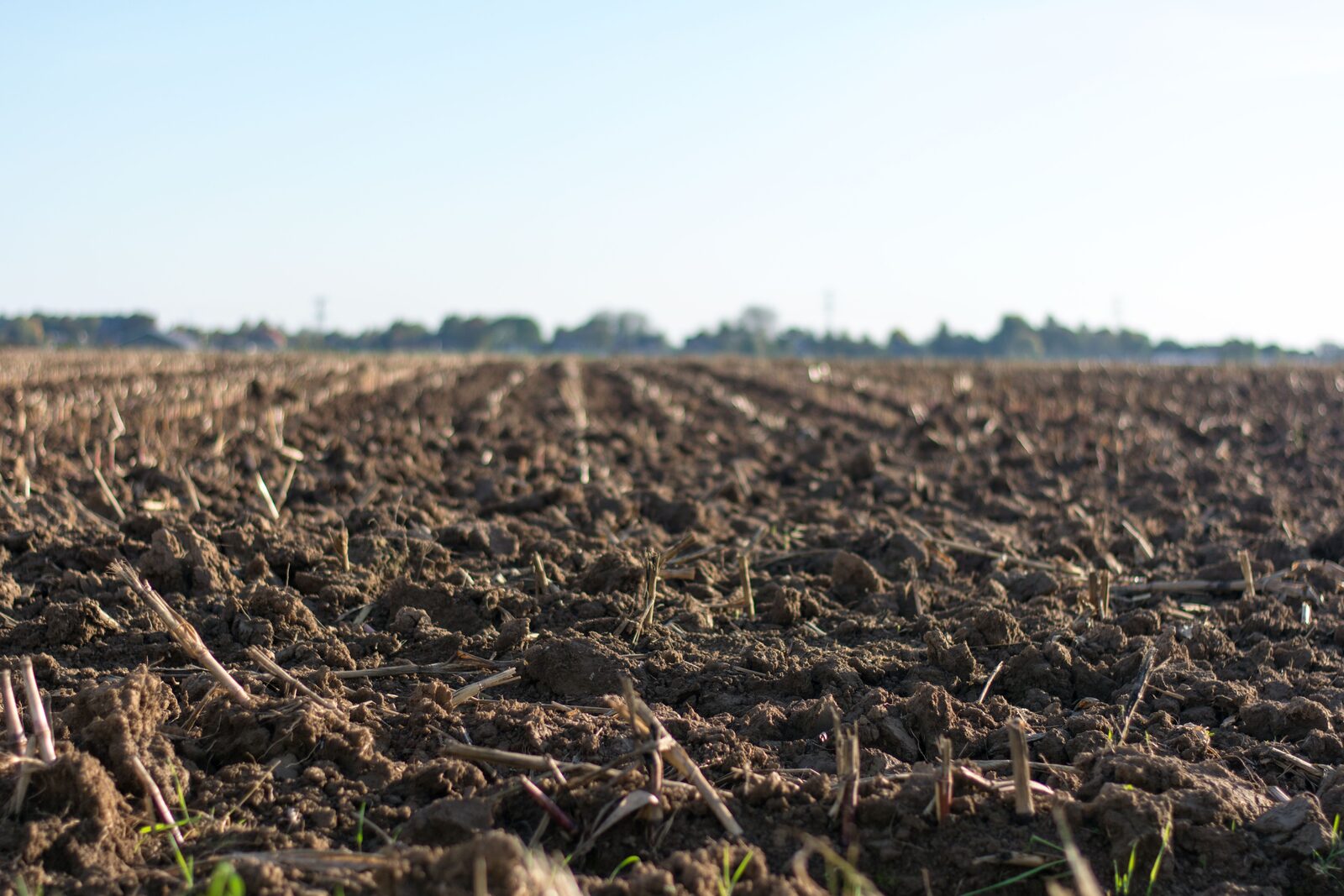 A gloved hand collecting a soil sample from a farm field for laboratory testing