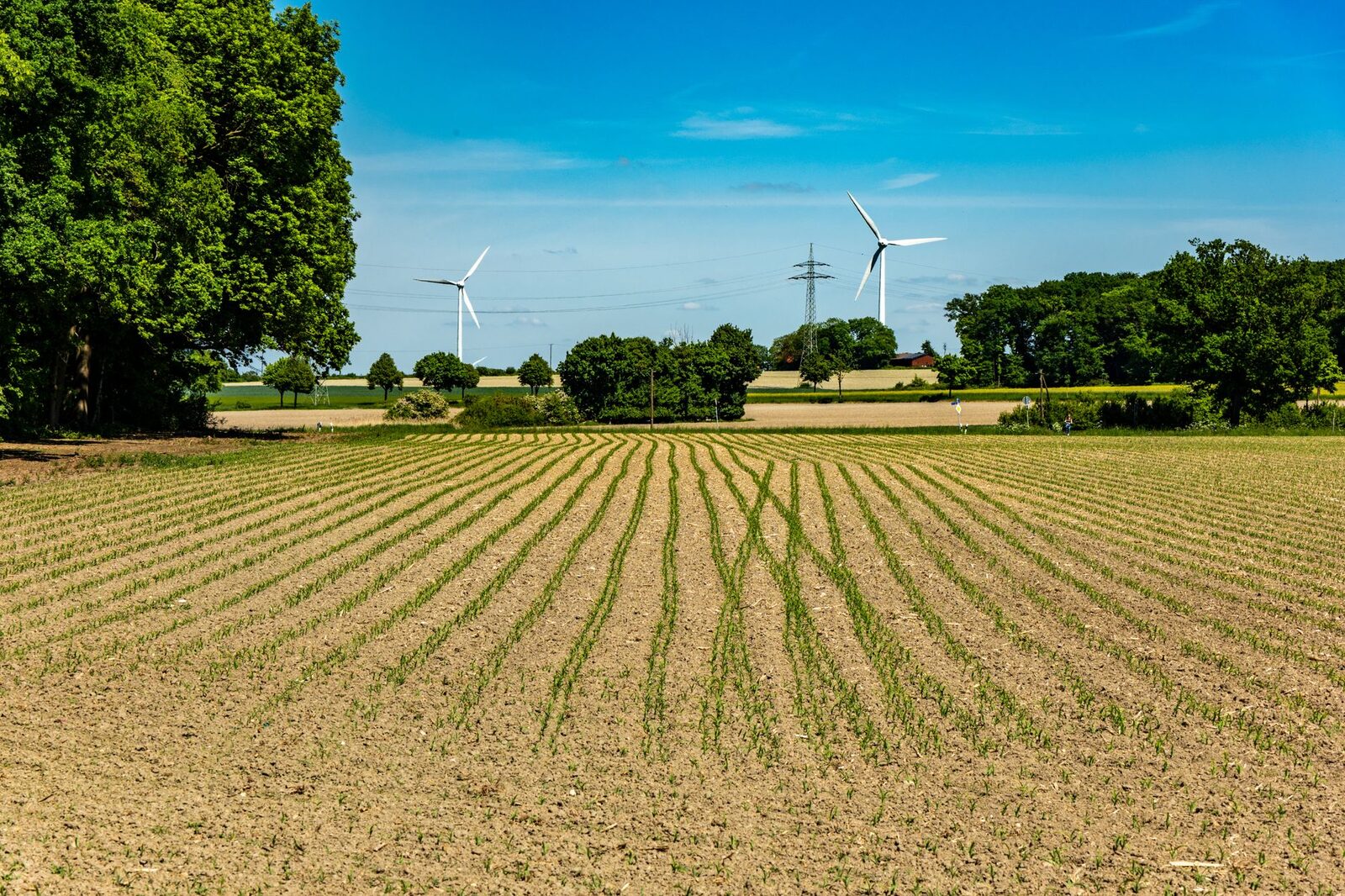 Weathered barn with fields in background representing aging farm infrastructure