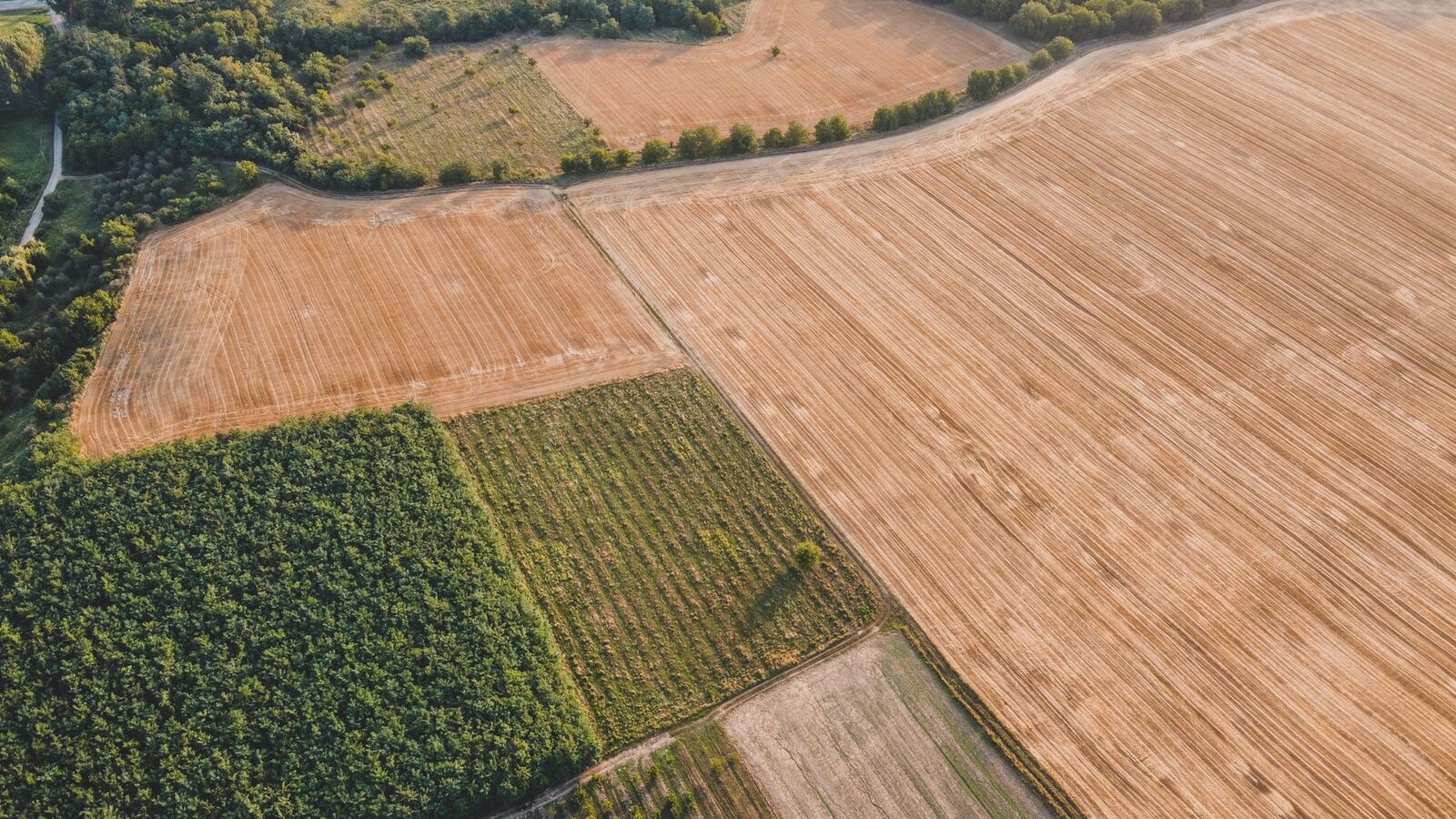 Aerial view of farmland parcels showing the scale of American agricultural land