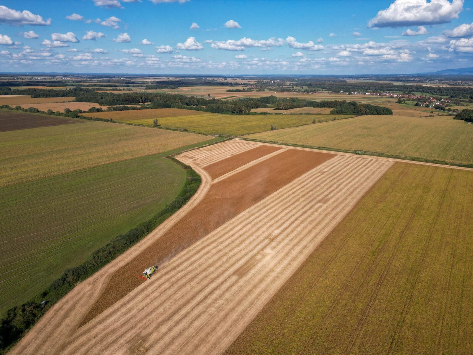 Family farm landscape under threat from corporate consolidation