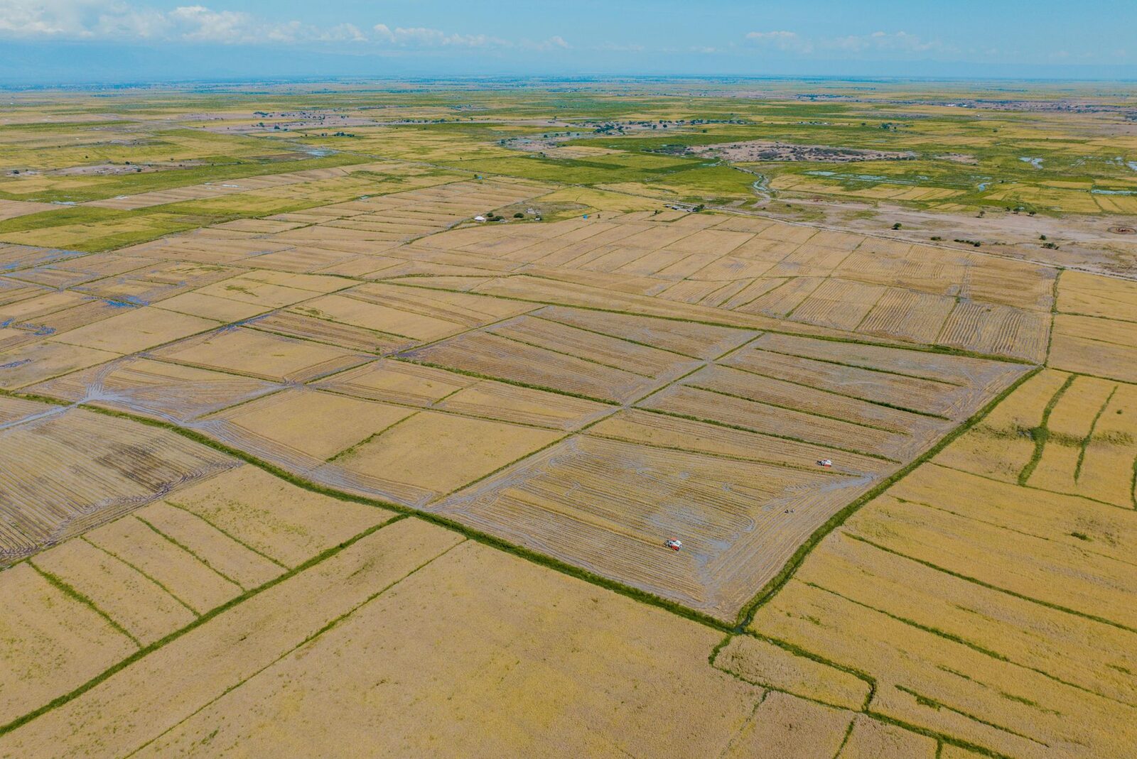 Rural farmland under open sky