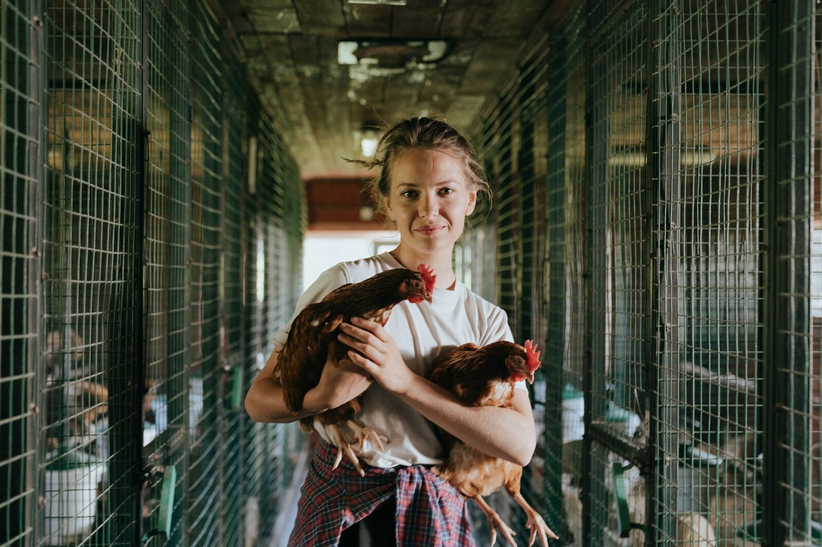 Poultry processing facility with farm building in background
