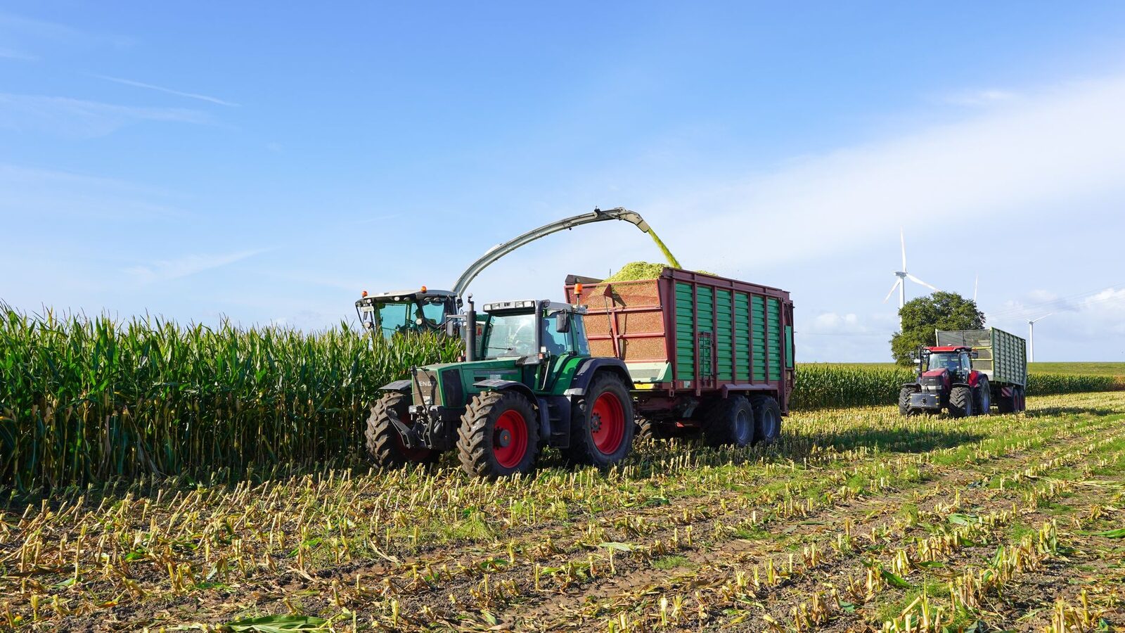 Regenerative farm field with cover crops and diverse vegetation