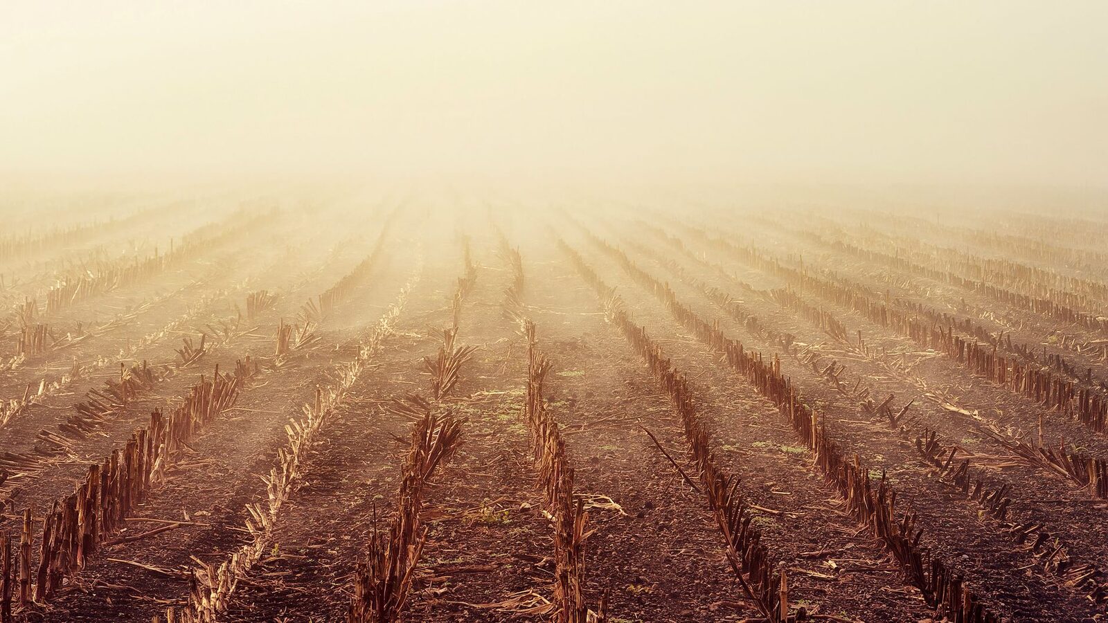 Empty farm equipment sits idle