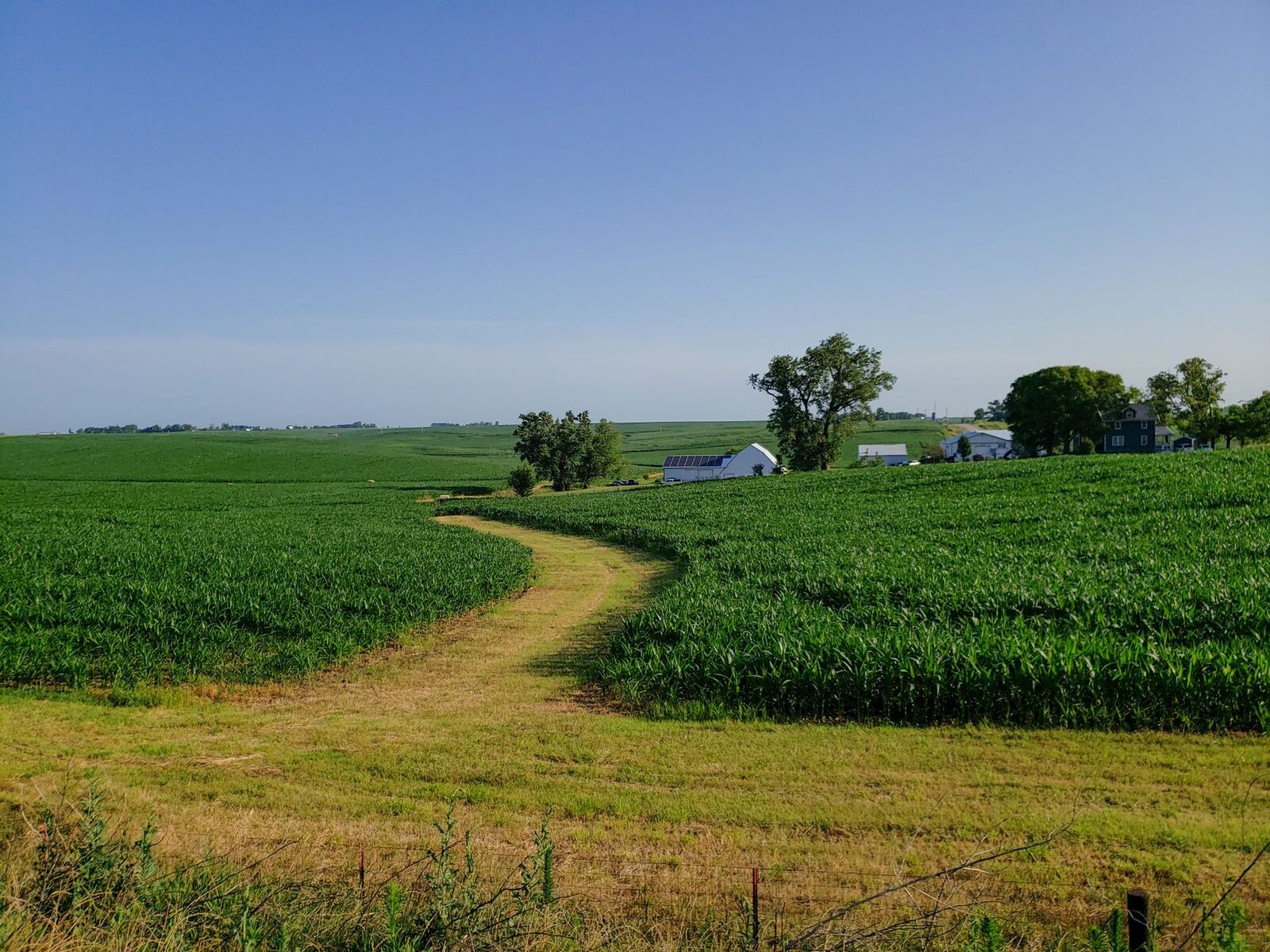 A soil scientist examines healthy, dark farmland soil rich with organic matter