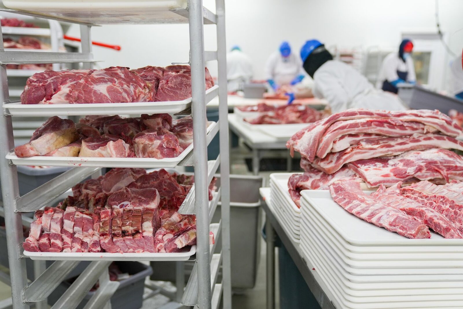 Empty beef processing facility