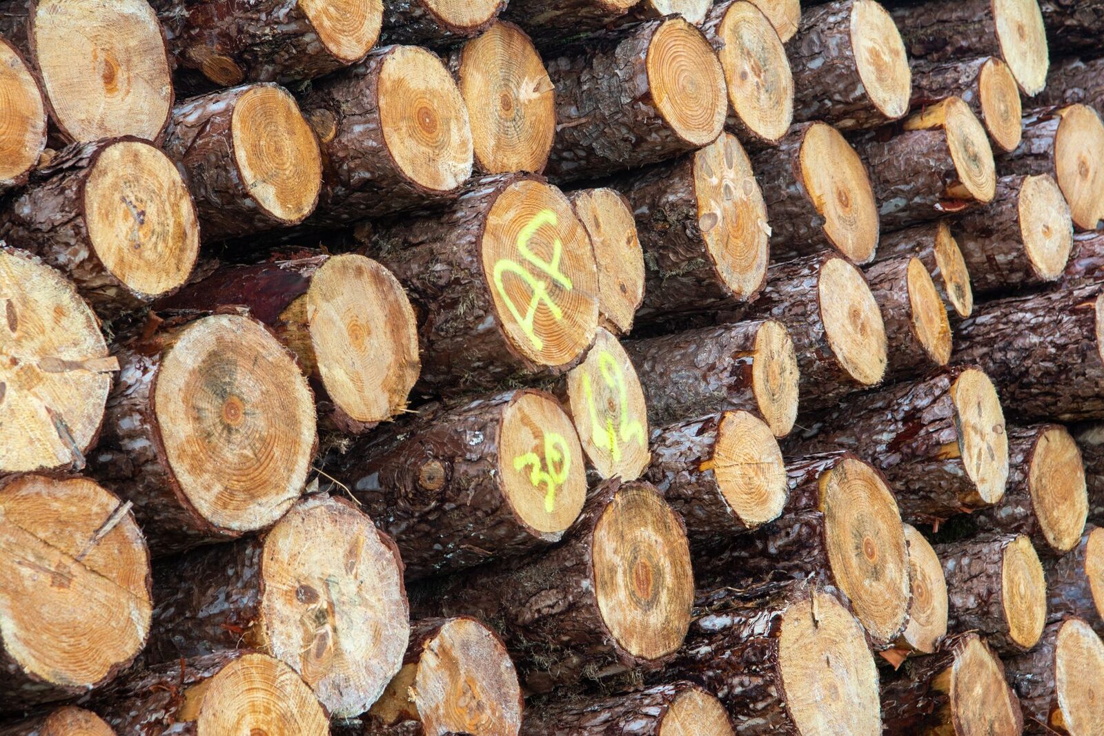 Sign marking protected forest land