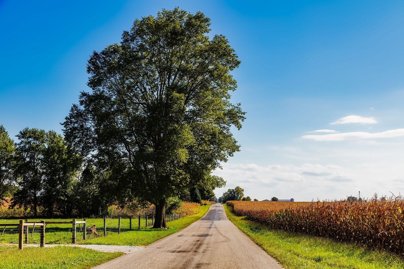 Farmland in Shelby County, Indiana