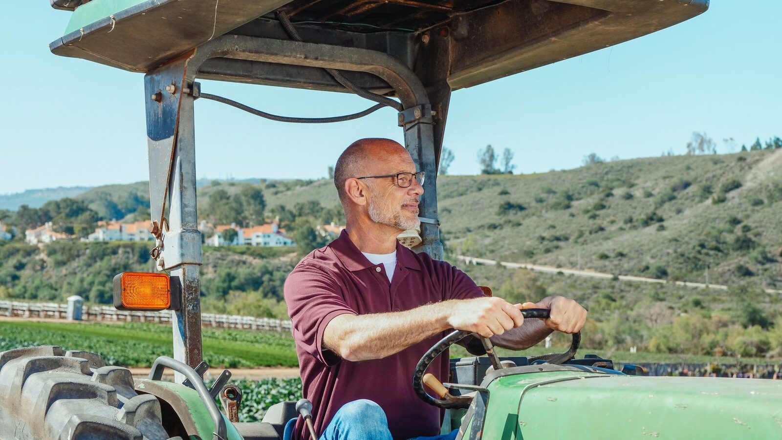 Agricultural workers in California fields during harvest